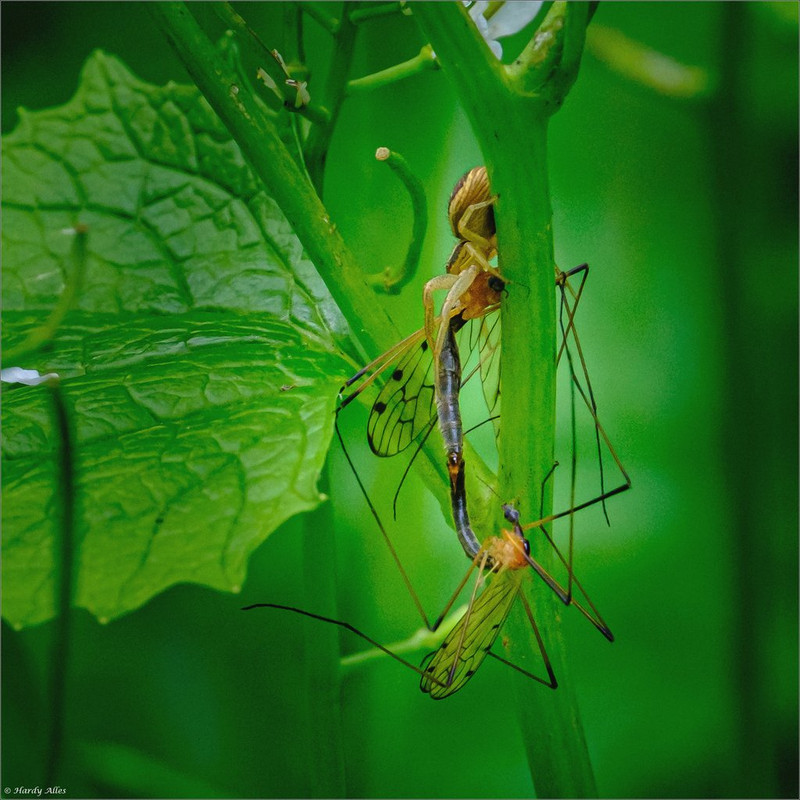 XT4A8002 2021 Fischbachtal Part 2 LR ERWZ FB