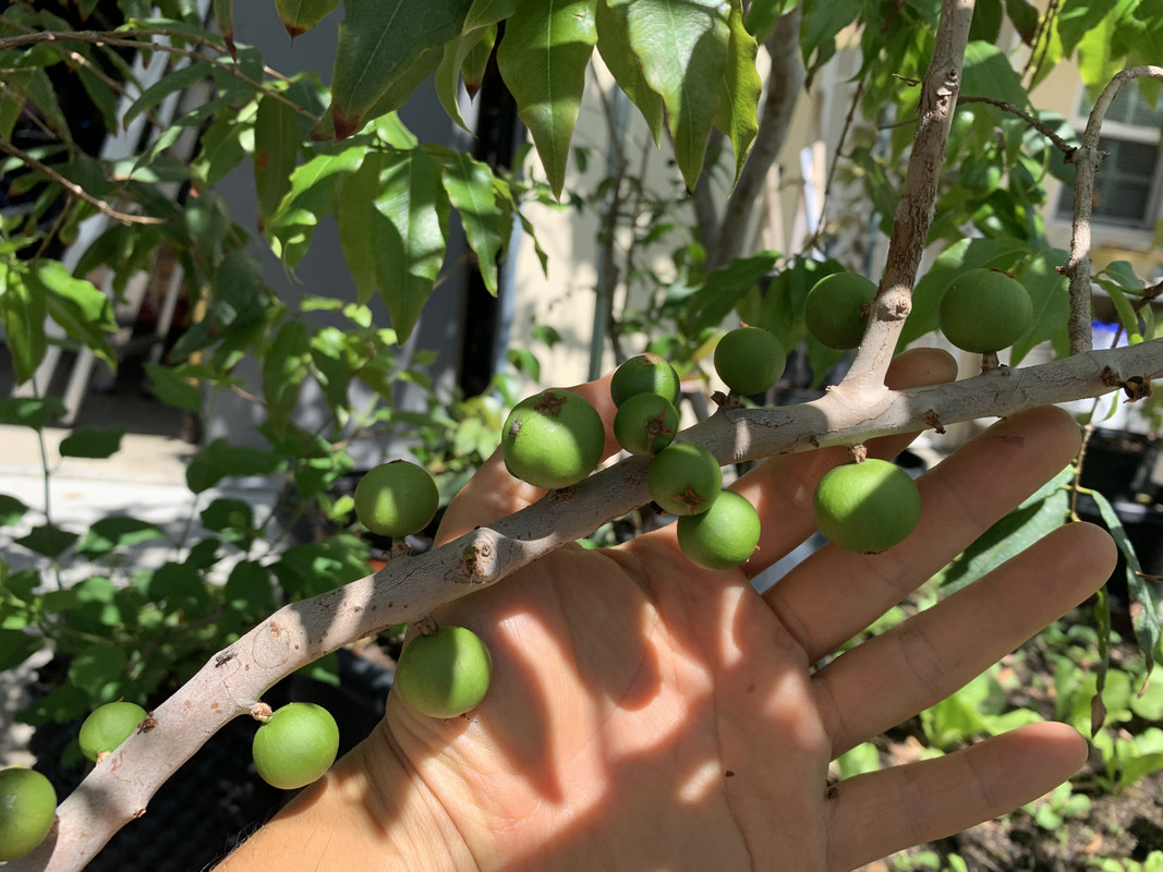 E66BB9AE-7B13-42B9-B729-B2A63653A70B