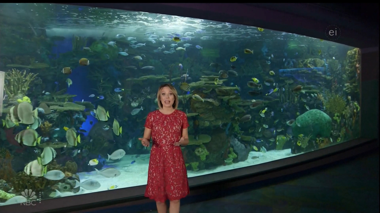 11.07 - 15.00.00 - Earth Odyssey With Dylan Dreyer. The world's smart....ts_snapshot_01.05.11.614