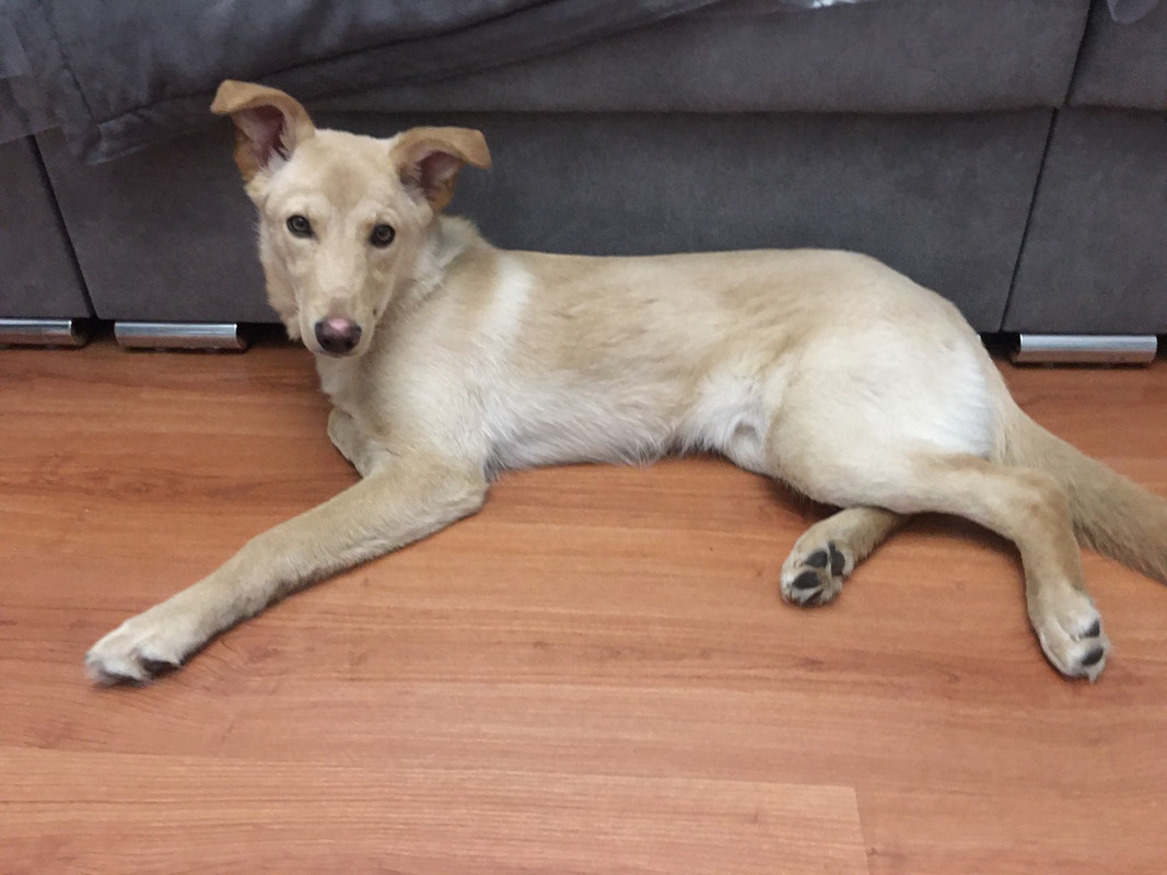 IMG-bd6474b3d154407a1ef5dfb4d2236416-V