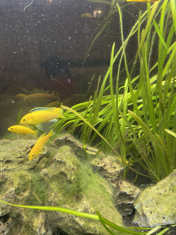 75BB2AA9-C065-4CC4-83A5-76674B3064FC