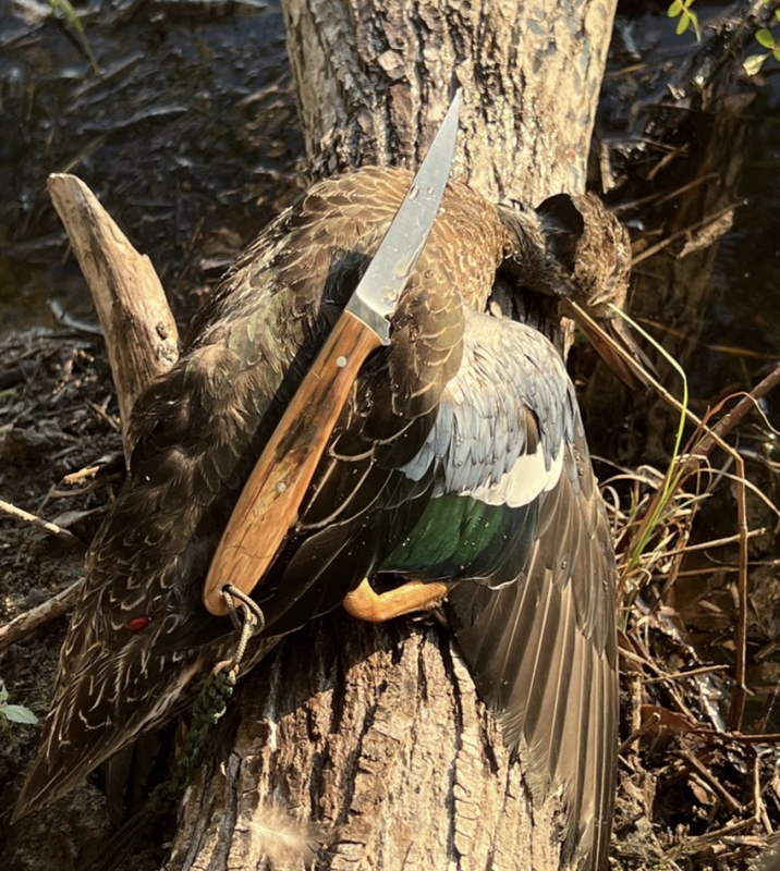 Screen Shot 2026 02 15 at 8 47 01 PM