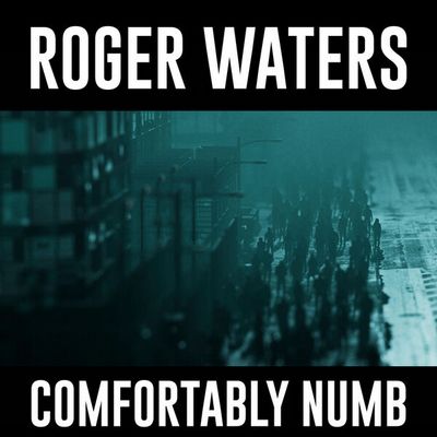 Roger Waters - Comfortably Numb (2022) [CD-Quality + Hi-Res] [Official Digital Release]