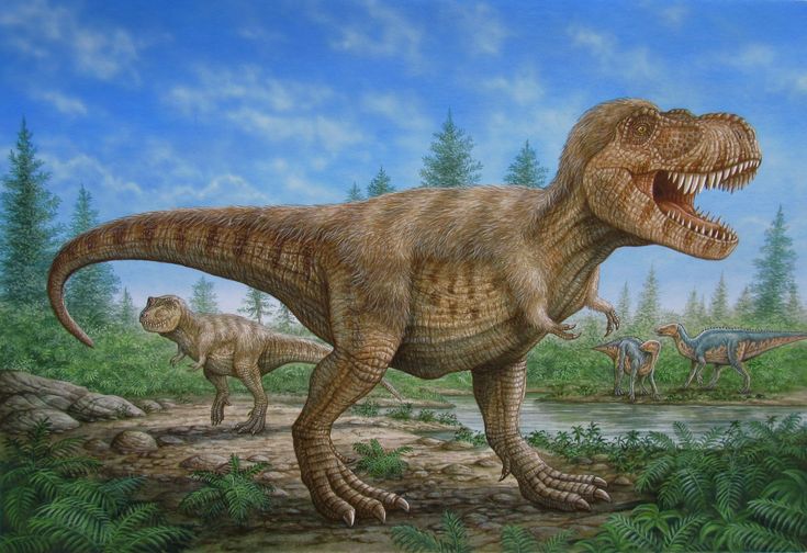 38dc945eac12a7cc4e0a5bce5ab09b0d (1)