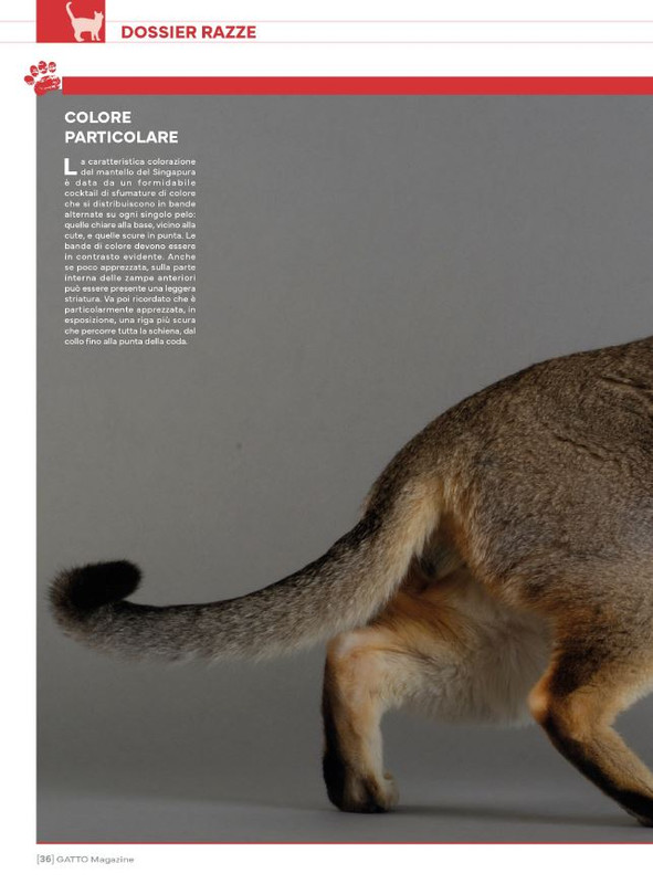 Ga Ma Ago-Set 2024 (5)