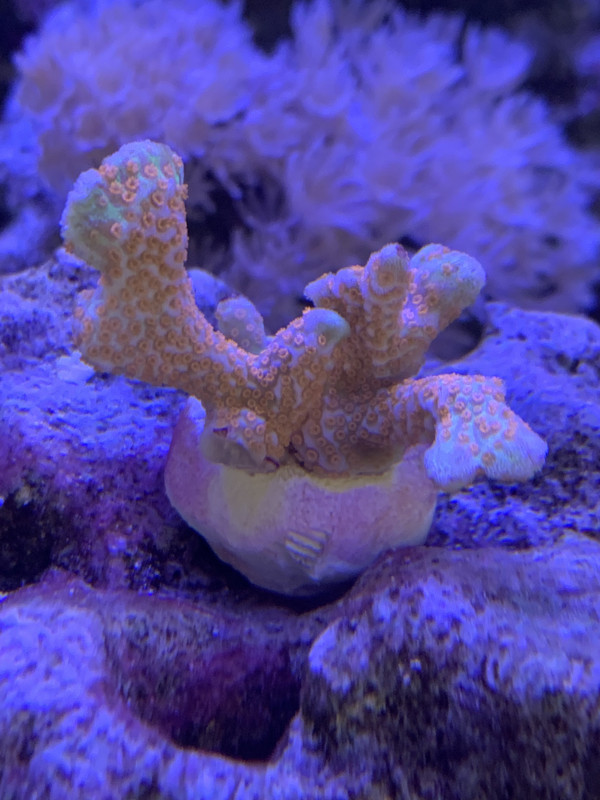 5C819F75-FB86-4D94-938F-BF7CD95C6CB4