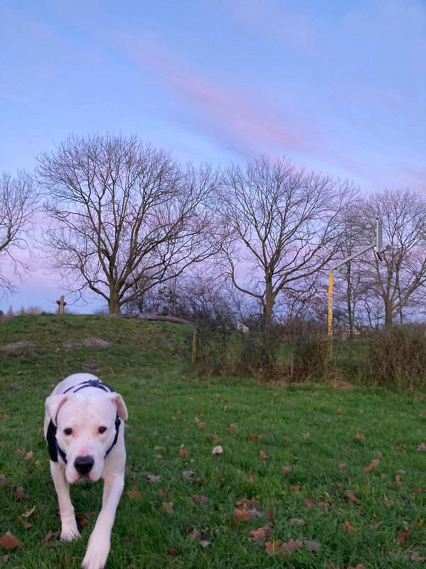 86580F0C-C1D5-4BA6-85C8-63E916EFA7C0