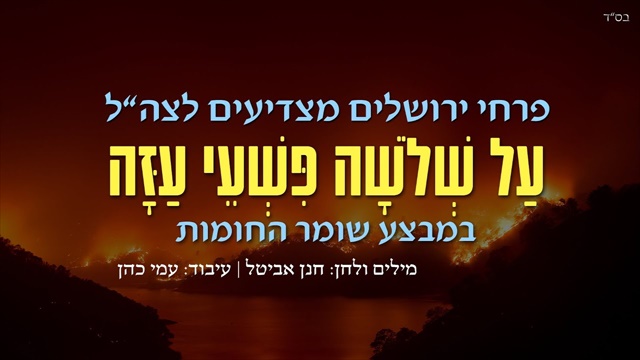 תמונה