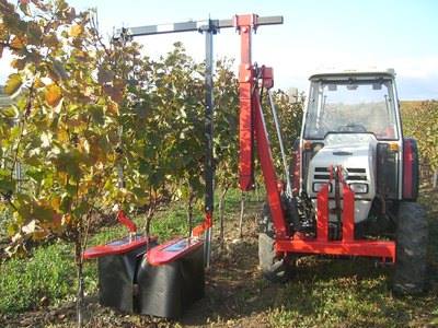 10884917_994647653898203_241227546_n