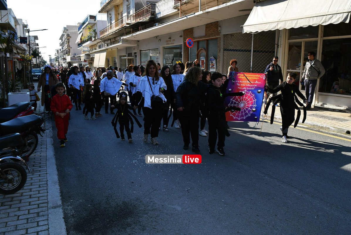 παιδικο μεσσηνηDSC_1284
