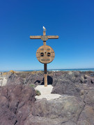 IMG-20250122-WA0256