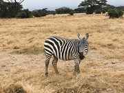 F0EF3A42-3F4C-4237-9A33-903E11126E53