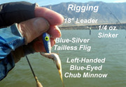 [Image: RIGGING.jpg]