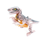 72870810-3078760165471855-143940305597497344-o