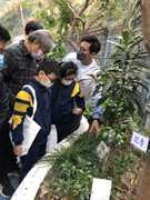 photo-iherbalgarden-3rd-021