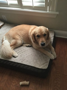 image_2023-02-02_231722594