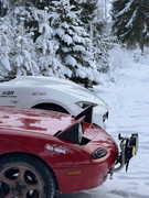 [Immagine: IMG_7469.jpg]