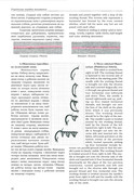 K-R-Susak-N-A-Stefyuk-Ukrayinske-narodne-vishivannya-2006-42