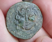 Ayuda con Medusa? Medu-an