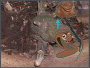 [Image: capture.jpg]