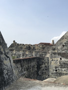 IMG-8565