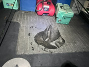[Image: Felt-Hat.jpg]
