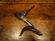 DSC02739.jpg