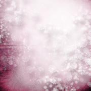 Burgandy-Christmas-Kit-22