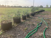 E821C8E8-6566-4270-818A-9D20C73DDCE0