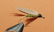 Apple-Green-1080