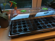 14A8F154-7BB2-4A49-AA60-E0DC41027993