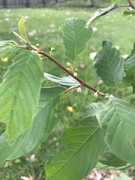 6C0534E8-2A55-480D-938B-48DC641BD31F