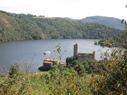 IMG-7980.jpg