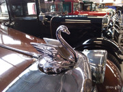 P-20211128-151445-p.jpg