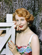 Arlene-Dahl-b44