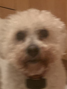 9BF94A0D-2934-4D87-8EF2-D6669DAC9AEC