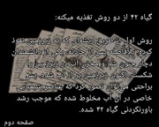 [تصویر:  IMG-20250501-212410-927.jpg]