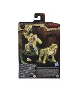 TF-Kingdom-Official-Pics-022