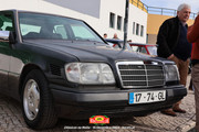 IMG-0316