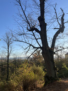 IMG-6347