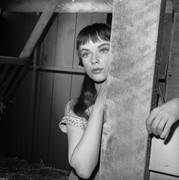 anne-francis-c73