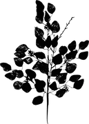 0_17d49b_f0d6491_X5L