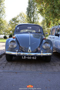 IMG-3904