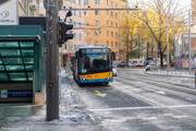 IMG-3017