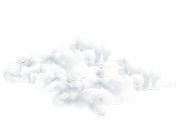 Winter-White-Elements-69