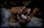 offering-1440x900.png