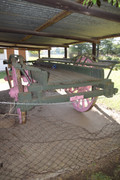 DSC-0087