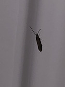 46661092-F5CF-4CF2-9CA6-E09AB363B0C7