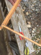 10-FC1336A1-EDB2-441C-B773-621084082166