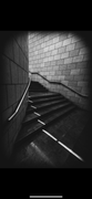 IMG-3350